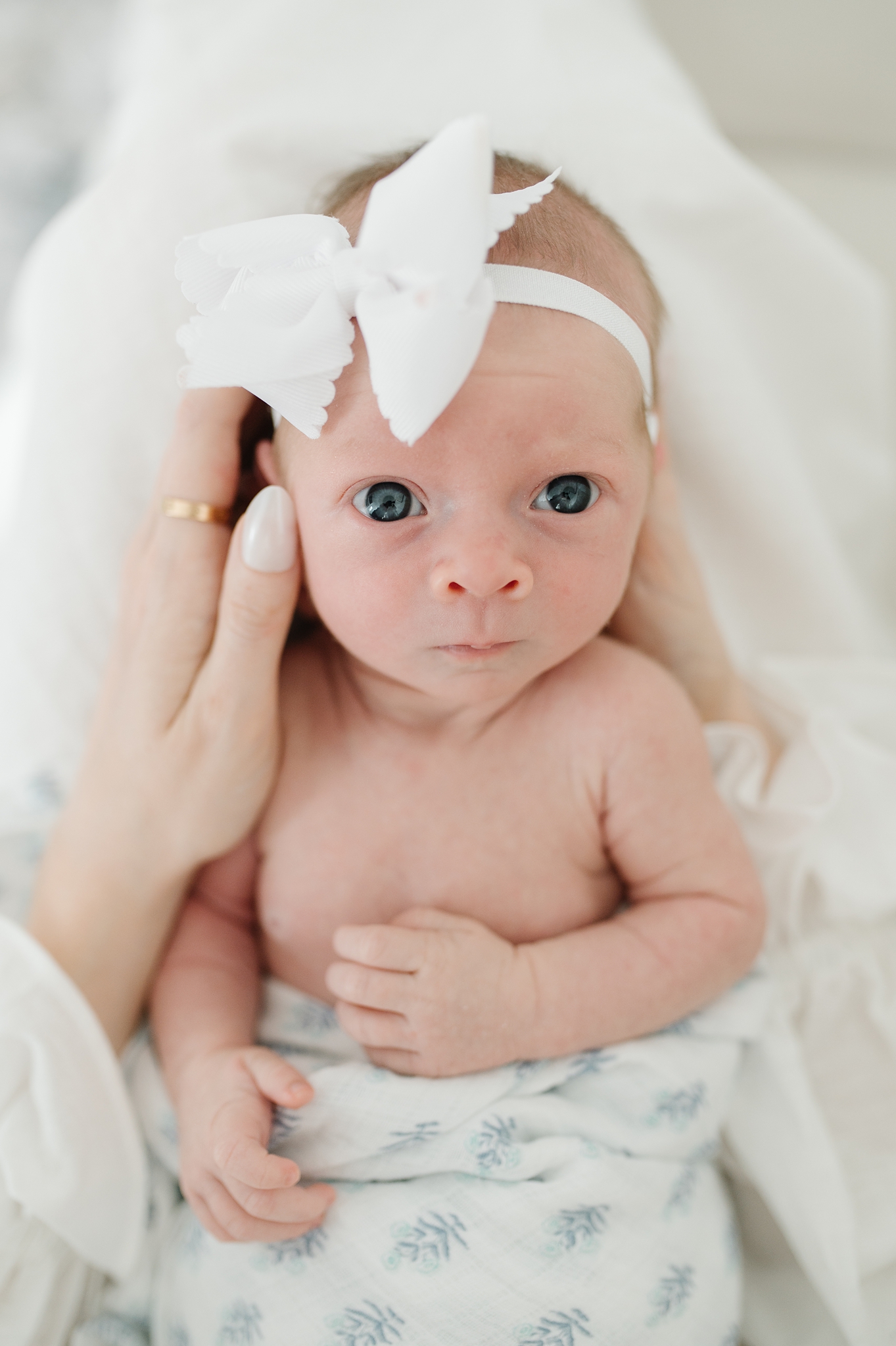 Close up photograph of a newborn baby girl taken by Abby Park, a Whitefish Bay newborn photographer